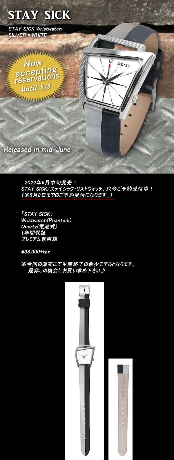 100％安い 新品 ハミルトン フライト staysick ステイシック